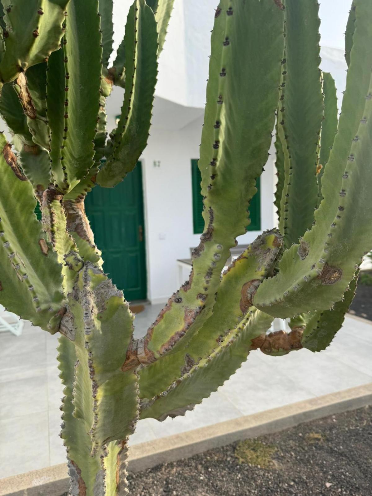 Cotillo Екстериор снимка